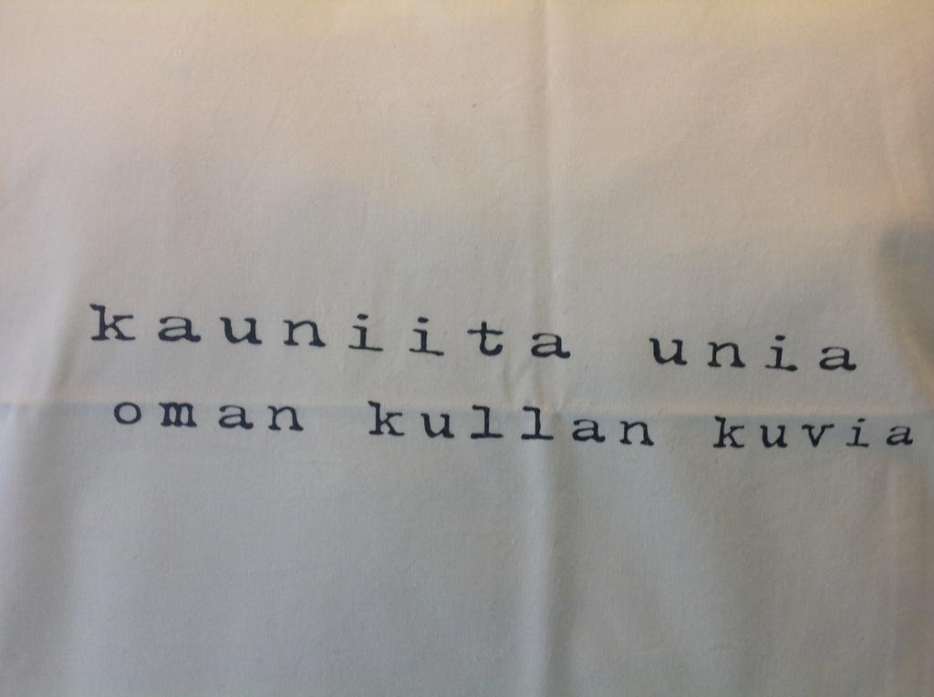 Gasthaus Villa Svensk 波尔沃 外观 照片